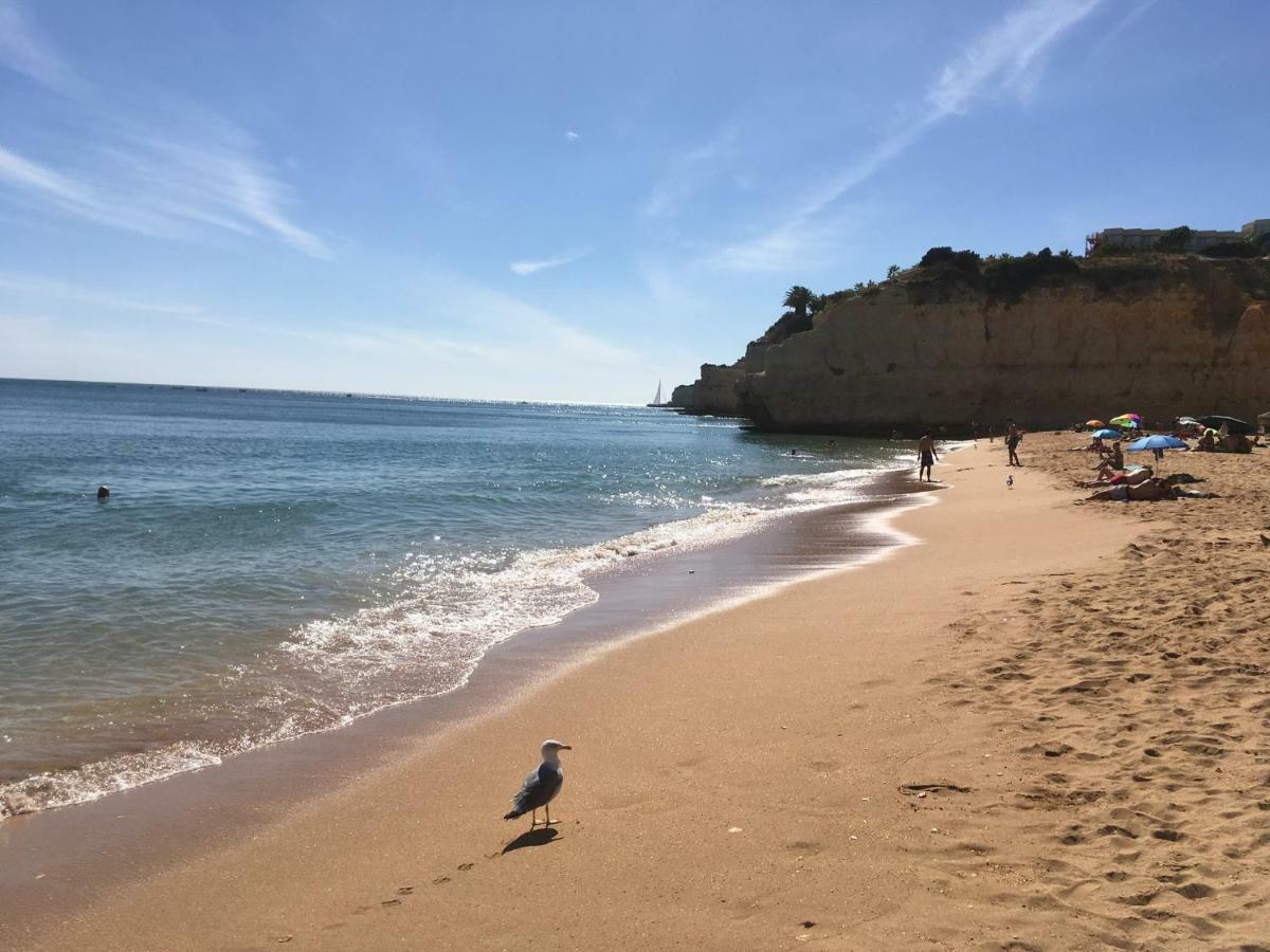 Vila Paderne - Solar Dos Mouros ポルシェス エクステリア 写真